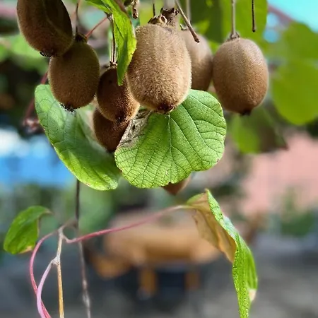 Mandic - Ucka Appartamento Kraj (Istria)